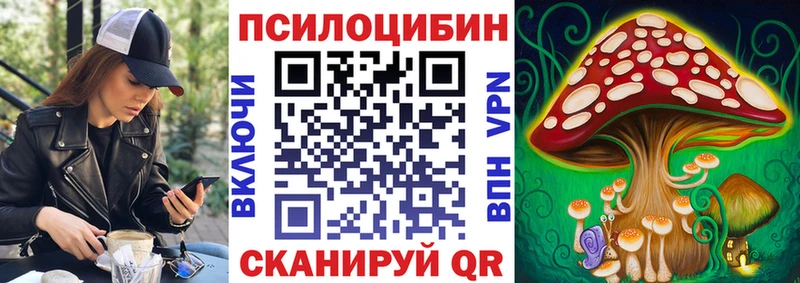 shop наркотические препараты  Калач-на-Дону  Псилоцибиновые грибы Psilocybe  наркота 